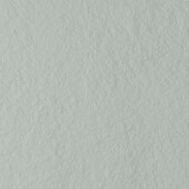 Pearl Gray